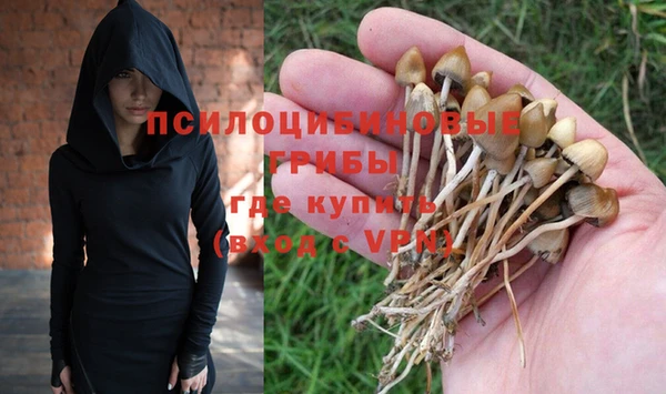 ALPHA PVP Бугульма