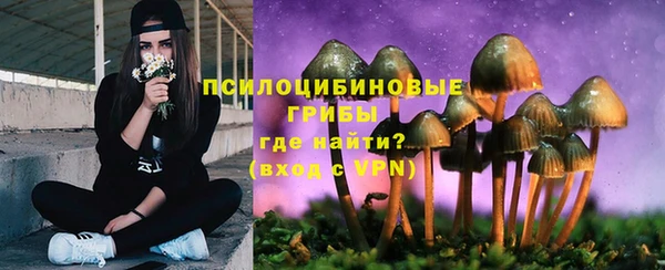 прущая мука Бронницы